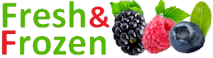logo proziran